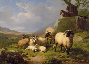 Sheep in a Landscape